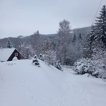 Вілла Hygge Chaloupka V Horach Cesky Jiretin Екстер'єр фото